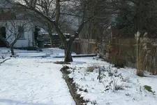 Garten 02 2013 036.webp