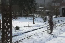 Garten 02 2013 037.webp