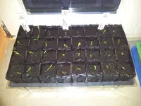 20130215_173805.webp