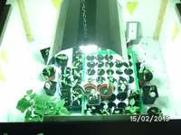 Alte Growbox.webp
