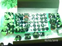 Alte Growbox (2).webp