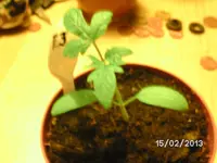 BILD2408.webp