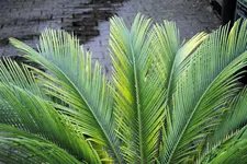 _DSC0188.webp