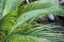 _DSC0190.webp