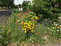 DSCF2035.webp