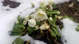 WP_20130217_003.webp