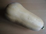 Butternut.jpg