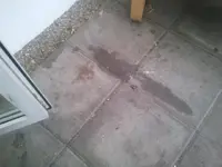 2013-02-17 16.07.12.webp
