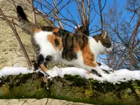 14-02-13-Mieze_8185.webp