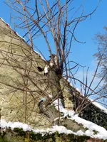 14-02-13-Mieze_8194.webp