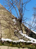 14-02-13-Mieze_8195.webp
