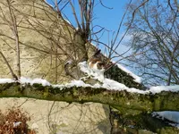 14-02-13-Mieze_8196.webp