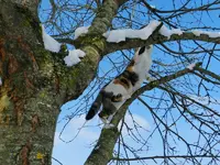 14-02-13-Mieze_8256.webp