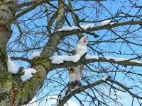 14-02-13-Mieze_8257.webp