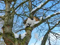 14-02-13-Mieze_8260.webp