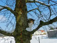 14-02-13-Mieze_8263.webp