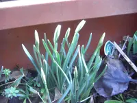 CIMG9755.webp