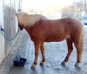 DSCF7740.3.webp