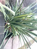 Bild0286.webp