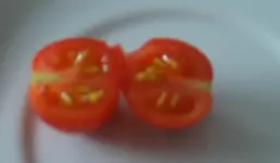 Minibel_aufgeschnitten.webp