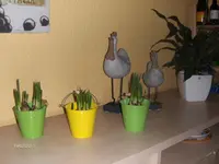 HPIM8815.webp