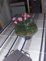 HPIM8817.webp