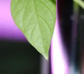 DSC_1526.2.webp