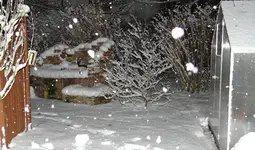 Winter3.webp