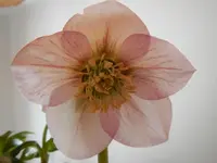 025.webp