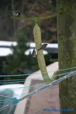comp_DSC08878.webp