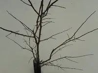 2013-02-21 09.59.47.webp