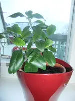 DSCF7011.webp DSCF7011.webp