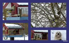 Winterbilder_1.webp