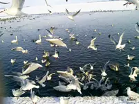 Foto0024.webp
