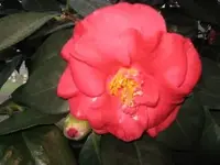 Bild 7015.webp