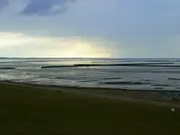 008.webp