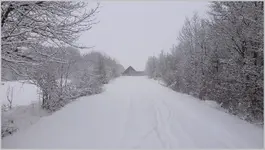 Schnee ohne Ende (3).webp