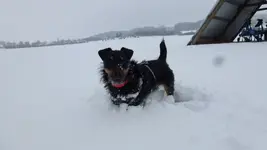 Schnee ohne Ende (12).webp