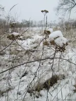 K1600_IMG_1812.webp