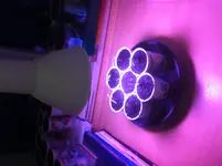 anzucht lampe.webp