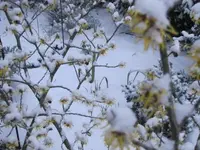 004.webp