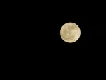 Vollmond-25-02-13_8555.JPG