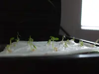 DSCF6987.webp