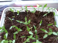 DSCF6992.webp