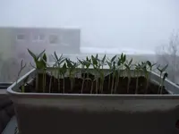 DSCF6991.webp