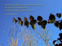 bobbycharly Ein Sonnentag im Herbst.webp