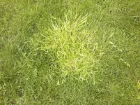 2012-05-05-030.webp