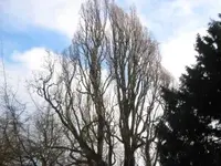 Bild 7100.webp