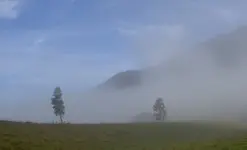 Morgenspaziergang.webp