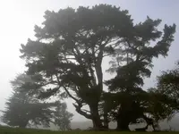 Morgenspaziergang (1).webp